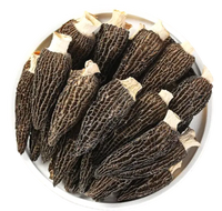 On Kee Superior Morel 安記特級羊肚菌