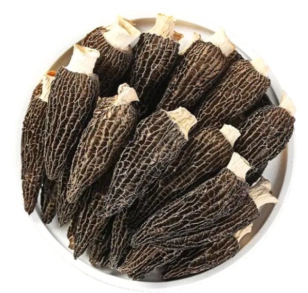 On Kee Superior Morel 安記特級羊肚菌